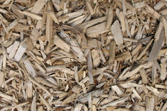 biomass boilers Balephuil